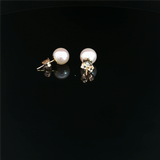 Timeless & Sophisticated Design 14K Yellow Gold 4.0 - 4.5 MM Saltwater Akoya Cultured Pearl Stud Earrings