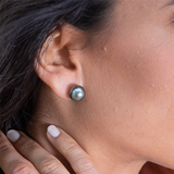 Timeless & Sophisticated Design White 14K Gold Cultured Tahitian 11-12mm Pearl Stud Earrings