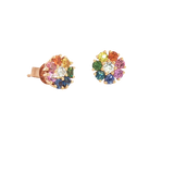 Vibrant Color Stone 18K Rosé Gold 1.04 Carats Multi Color Fancy Sapphire & 0.22 Carats Diamond Stud Earrings