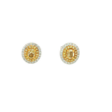 Classic & Contemporary 18K White & Yellow Gold 1.06 Carats Yellow & White Diamond Halo Earrings