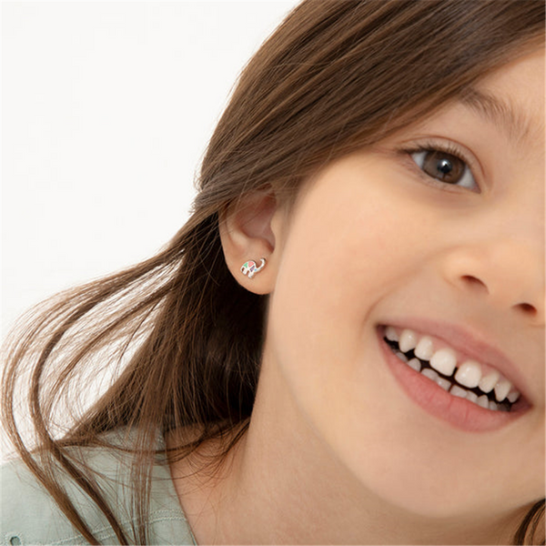 Sterling Silver My Dinosaur Friend Enamel Earrings