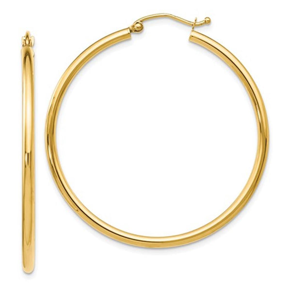 Precious Metal (No Stones) Earring