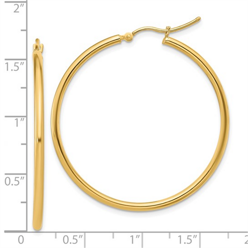 Precious Metal (No Stones) Earring