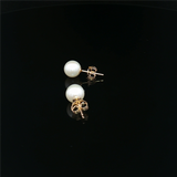Timeless & Sophisticated Design 14K Yellow Gold 6.5 -7.0 MM Freshwater Pearl Stud Earrings