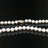 Elegant Pearl Necklaces & Pendants 14K Yellow Gold 6.0 - 6.5MM Saltwater Akoya Cultured Pearl Necklce - 20 Inch