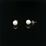 Timeless & Sophisticated Design 14K Yellow Gold 6.0 -6.5 MM Freshwater Pearl Stud Earrings