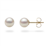 Akoya6.5 X 7.0 MM Cultured Pearl Stud Earrings
