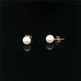 Timeless & Sophisticated Design 14K Yellow Gold 6.0 -6.5 MM Freshwater Pearl Stud Earrings