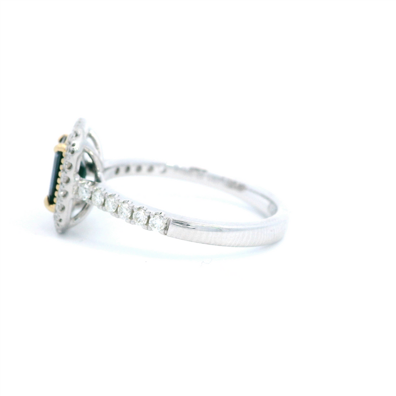 Color Stone Fashion Rings 14K Two-tone White & Yellow 1.07ct Blue Sapphire & 0.32ct Diamond Halo Ring